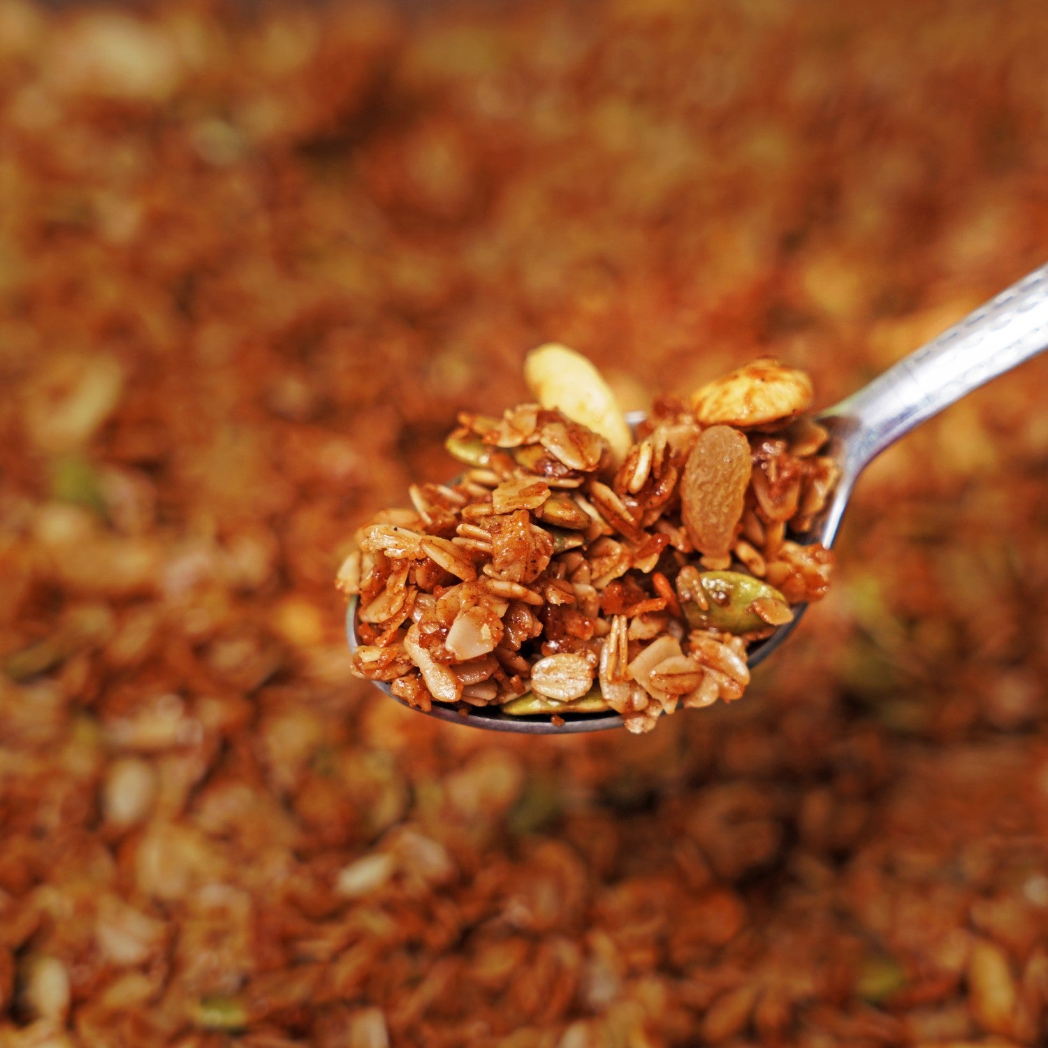 Cashew Raisins Granola