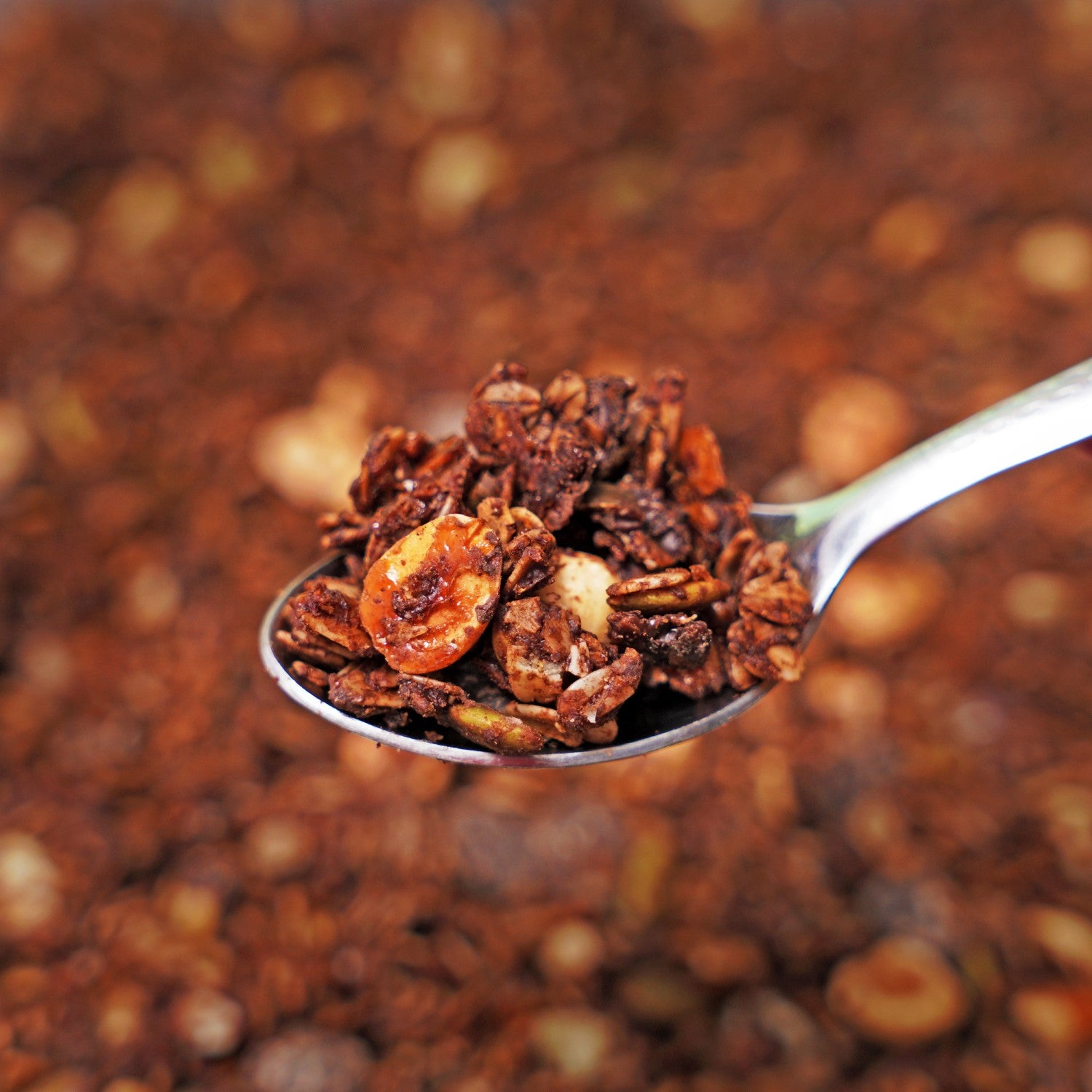 Chocolate Hazelnut Granola