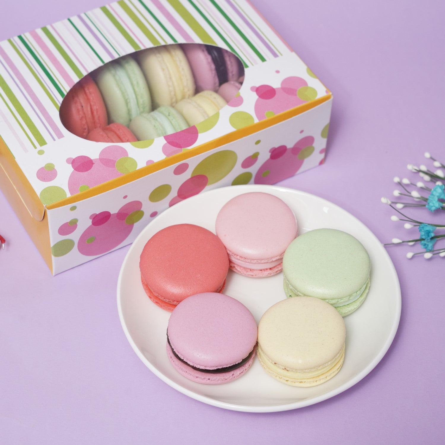 Macaron Box Of Ten