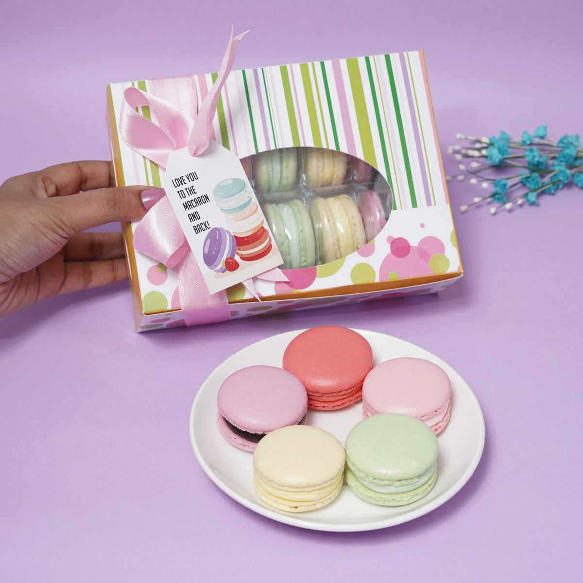 Macaron Box Of Ten